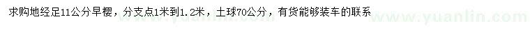 求購(gòu)地徑11公分早櫻