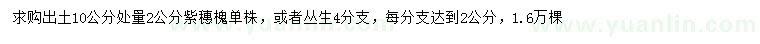 求購10公分量2公分紫穗槐、叢生紫穗槐
