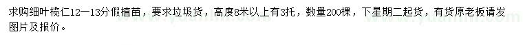 求購12-13公分細葉欖仁