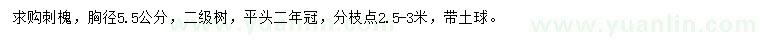 求購胸徑5.5公分刺槐