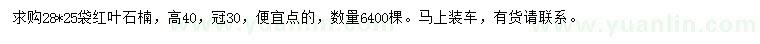 求購冠幅30公分紅葉石楠