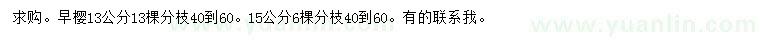 求購13、15公分早櫻