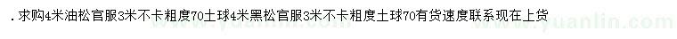 求購4米油松、黑松
