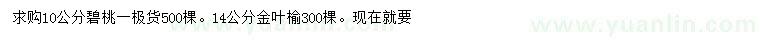 求購10公分碧桃、14公分金葉榆