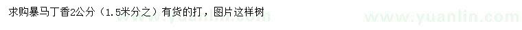 求購(gòu)2公分暴馬丁香