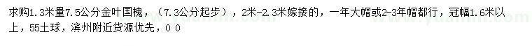 求購1.3米量7.5公分金葉國槐