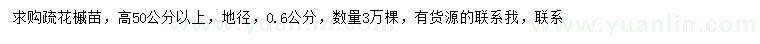 求購高50公分以上疏花槭苗