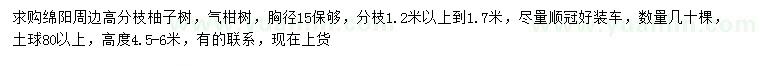 求購胸徑15公分柚子樹、氣柑樹