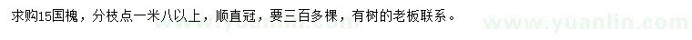 求購15公分國槐
