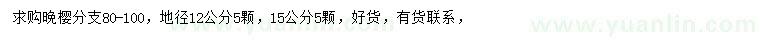 求購地徑12、15公分晚櫻