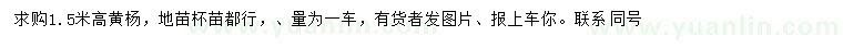 求購(gòu)高1.5米黃楊
