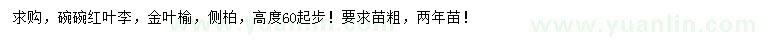 求購紅葉李、金葉榆、側(cè)柏