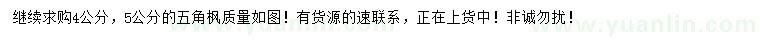 求購(gòu)4、5公分五角楓