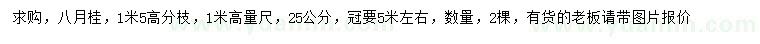 求購1米量25公分八月桂
