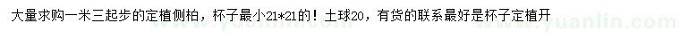 求購(gòu)1.3米以上側(cè)柏