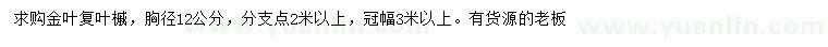 求購胸徑12公分金葉復(fù)葉槭