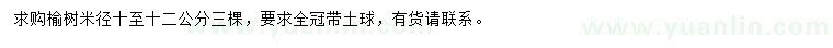 求購米徑10-12公分榆樹