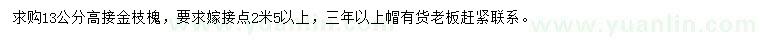 求購(gòu)13公分金枝槐