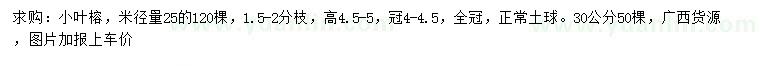求購米徑25公分小葉榕