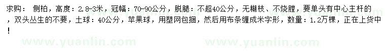 求購高2.8-3米側(cè)柏