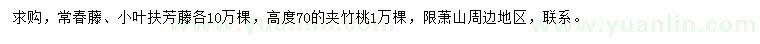 求購常春藤、小葉扶芳藤、夾竹桃