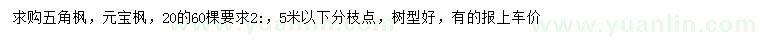 求購五角楓、元寶楓