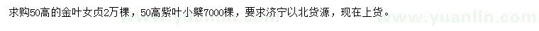 求購高50公分金葉女貞、紫葉小檗