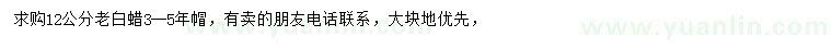求購12公分老白蠟