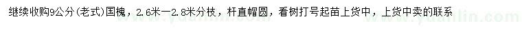 求購9公分國槐