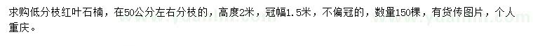 求購冠幅1.5米紅葉石楠