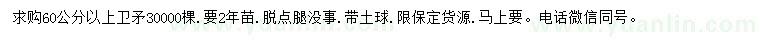 求購60公分以上衛(wèi)矛