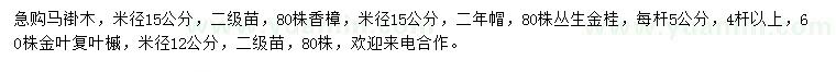 求購(gòu)馬褂木、叢生金桂、金葉復(fù)葉槭