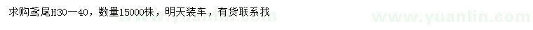 求購高30-40公分鳶尾