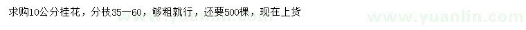 求購10公分桂花
