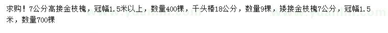 求購高接金枝槐、千頭椿、金枝槐