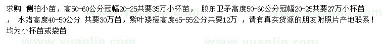 求購側(cè)柏小苗、膠東衛(wèi)矛、水蠟等