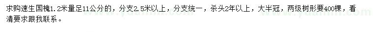 求購1.2米量11公分速生國槐