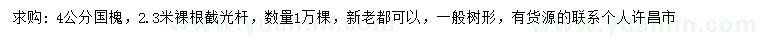 求購4公分國槐