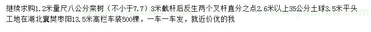 求購1.2米量7.7公分以上欒樹