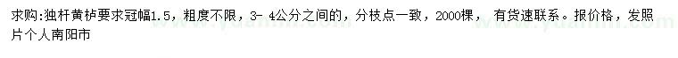 求購冠幅1.5米黃櫨