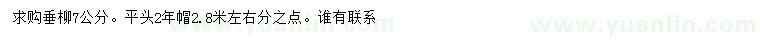 求購7公分垂柳