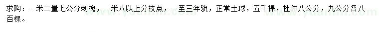 求購1.2米量7公分刺槐、8、9公分杜仲