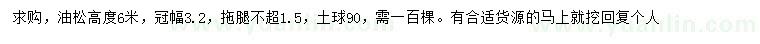 求購(gòu)冠幅3.2米油松