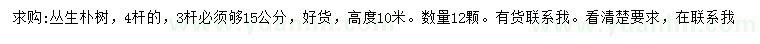 求購(gòu)高10米叢生樸樹