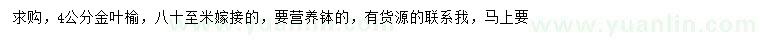 求購(gòu)4公分金葉榆