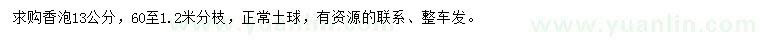 求購13公分香泡