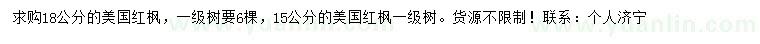 求購15、18公分美國紅楓