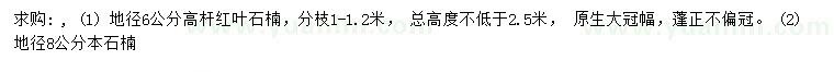 求購(gòu)地徑6公分紅葉石楠、地徑8公分本石楠