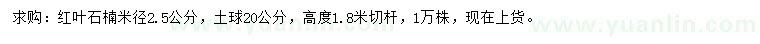 求購米徑2.5公分紅葉石楠
