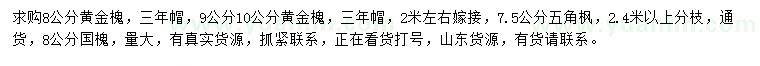 求購黃金槐、五角楓、國槐